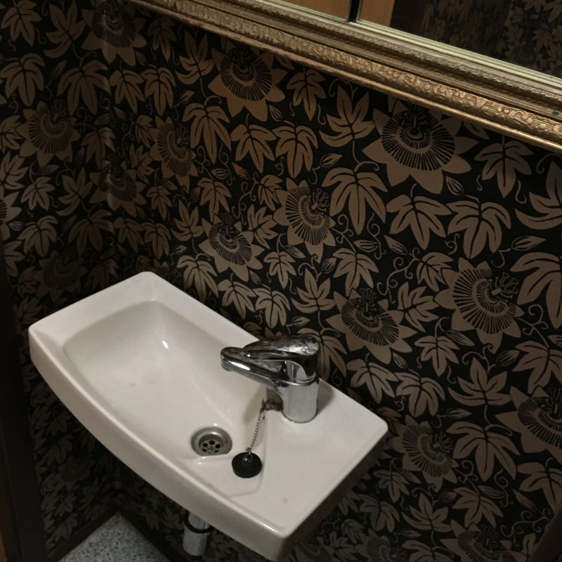 Passion-Flower-for-The-Monkey-Puzzle-Tree-cloakroom